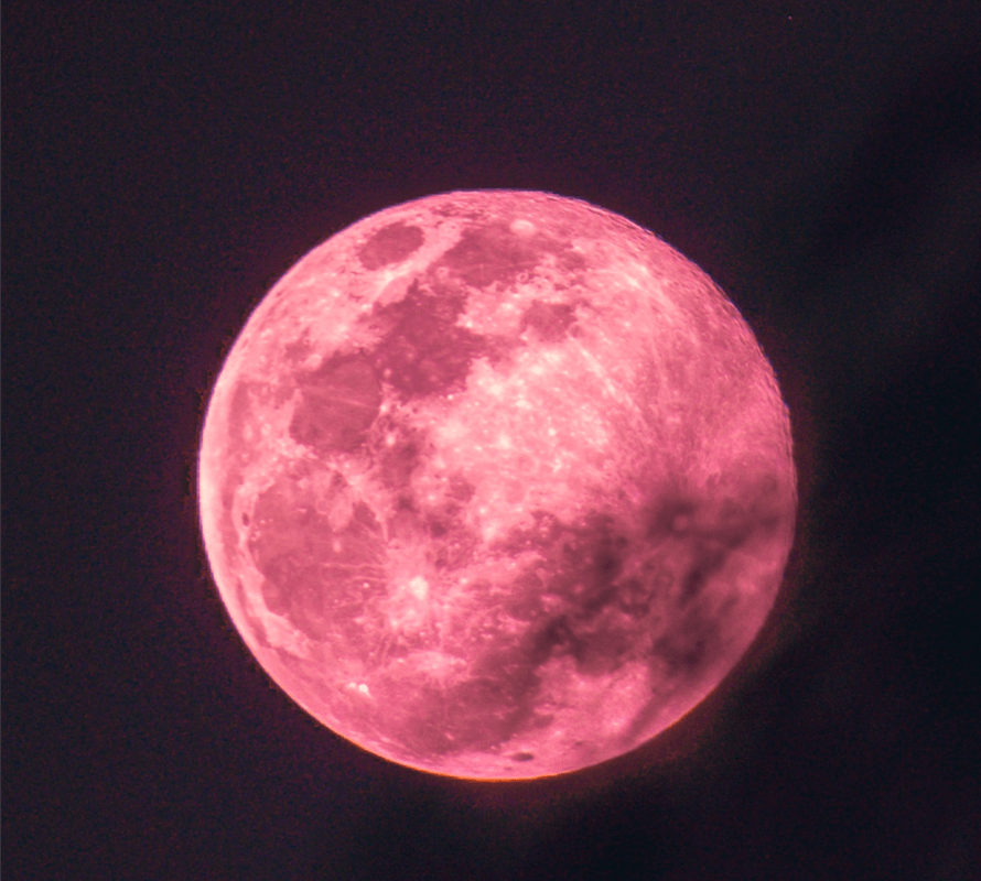 Pink Moon